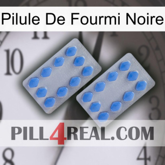 Black Ant Pill 20
